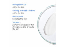 Load image into Gallery viewer, Rebalance Daily Moisturizer

